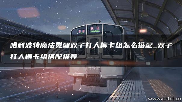 哈利波特魔法觉醒双子打人柳卡组怎么搭配_双子打人柳卡组搭配推荐 哈利波特魔法觉醒双子打人柳卡组怎么搭配_双子打人柳卡组搭配推荐