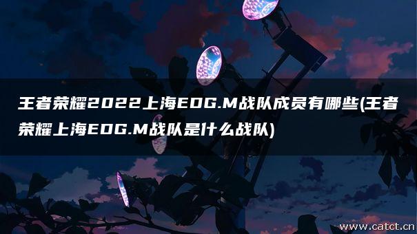 王者荣耀2022上海EDG.M战队成员有哪些(王者荣耀上海EDG.M战队是什么战队)