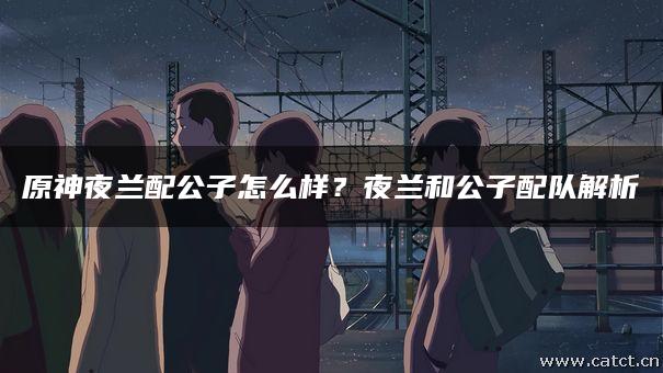 原神夜兰配公子怎么样？夜兰和公子配队解析