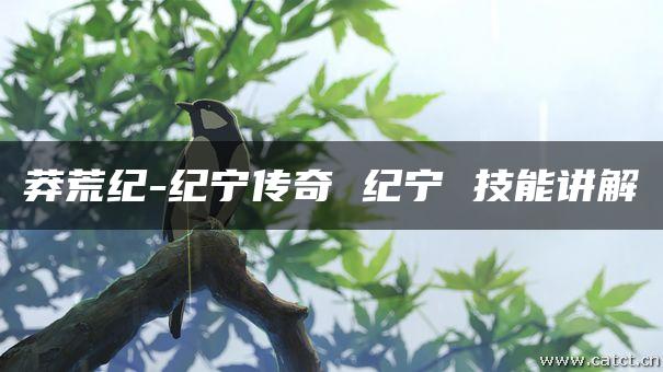莽荒纪-纪宁传奇 纪宁 技能讲解