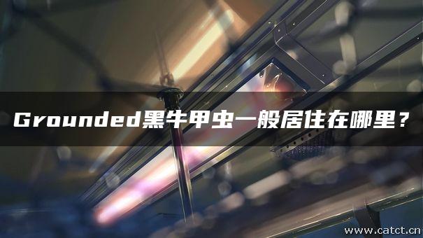 Grounded黑牛甲虫一般居住在哪里? Grounded黑牛甲虫一般居住在哪里?