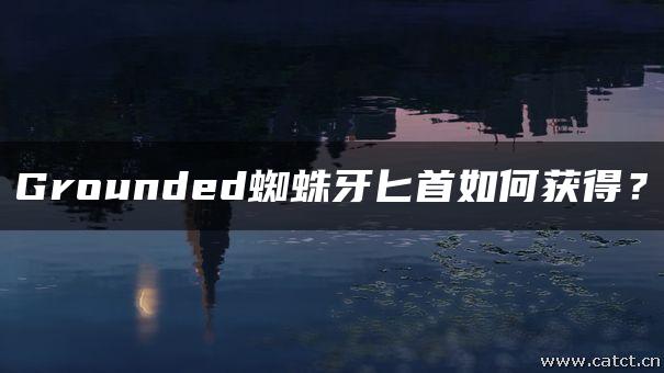 Grounded蜘蛛牙匕首如何获得？