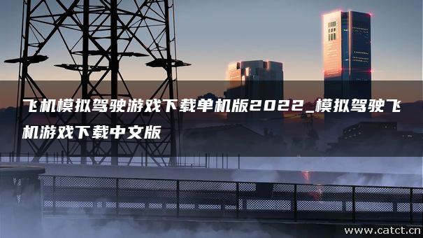 飞机模拟驾驶游戏下载单机版2022_模拟驾驶飞机游戏下载中文版