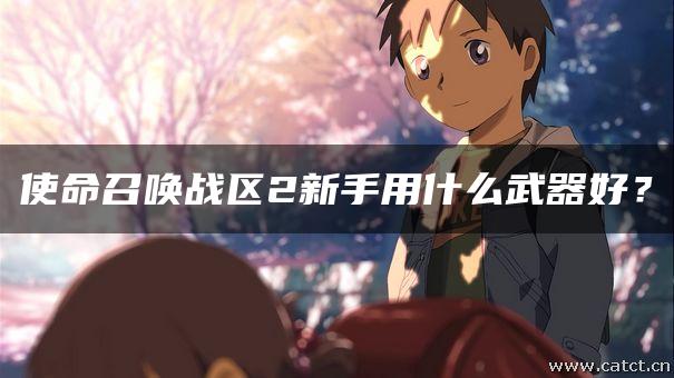 使命召唤战区2新手用什么武器好？