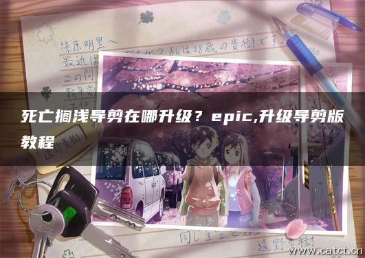 死亡搁浅导剪在哪升级？epic,升级导剪版教程