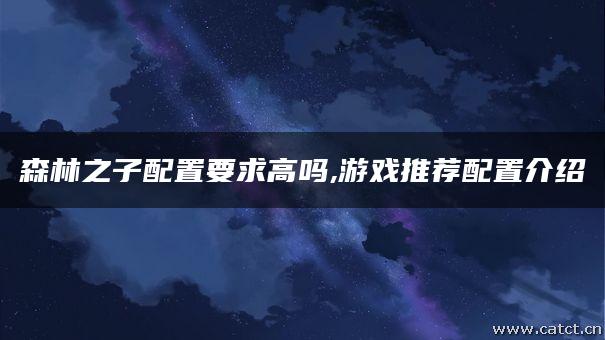 森林之子配置要求高吗,游戏推荐配置介绍