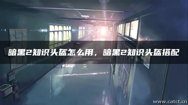 暗黑2知识头盔怎么用，暗黑2知识头盔搭配