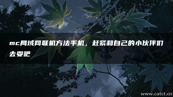 mc局域网联机方法手机,赶紧和自己的小伙伴们去耍吧 mc局域网联机方法手机,赶紧和自己的小伙伴们去耍吧