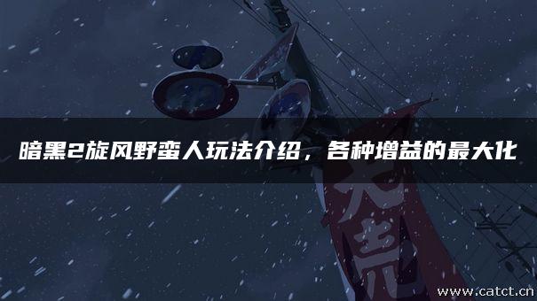 暗黑2旋风野蛮人玩法介绍,各种增益的最大化 暗黑2旋风野蛮人玩法介绍,各种增益的最大化