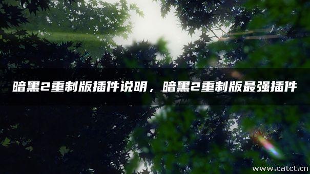 暗黑2重制版插件说明，暗黑2重制版最强插件