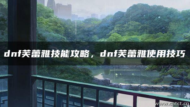 dnf芙蕾雅技能攻略，dnf芙蕾雅使用技巧