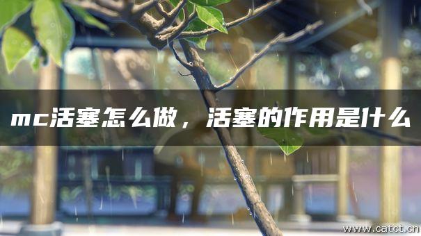 mc活塞怎么做，活塞的作用是什么