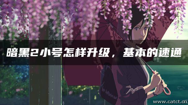 暗黑2小号怎样升级,基本的速通 暗黑2小号怎样升级,基本的速通