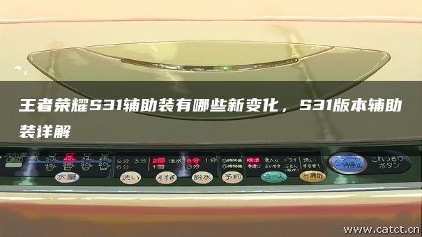 王者荣耀S31辅助装有哪些新变化，S31版本辅助装详解